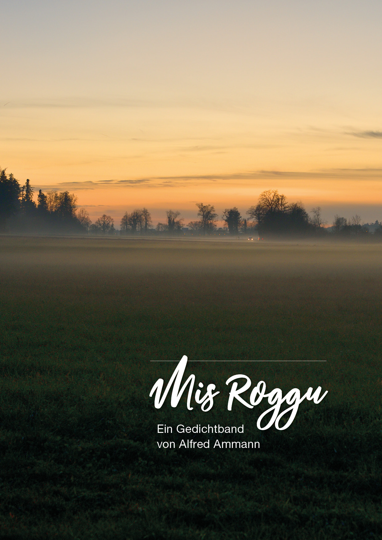 Buch Heinz Isler Cover